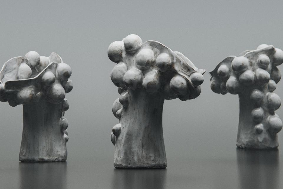 Angie Simón Silent Growth Exhibition