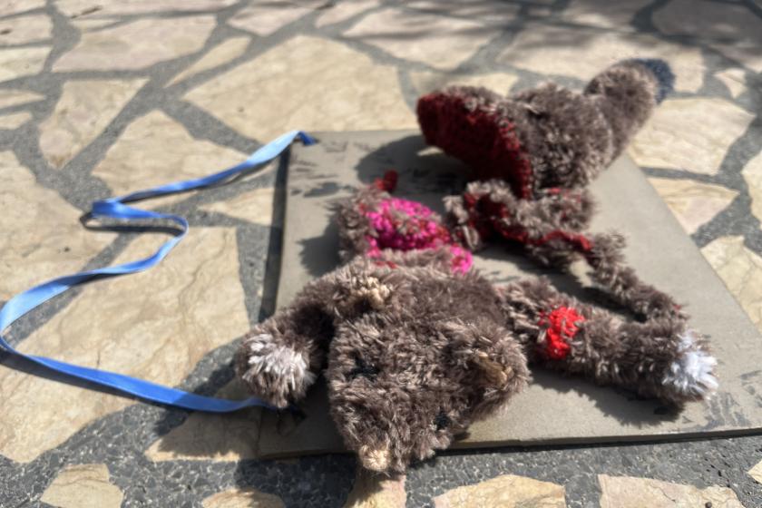Roadkill