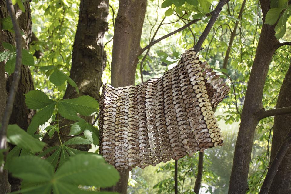  Garment made of wood hanging on a tree branch
