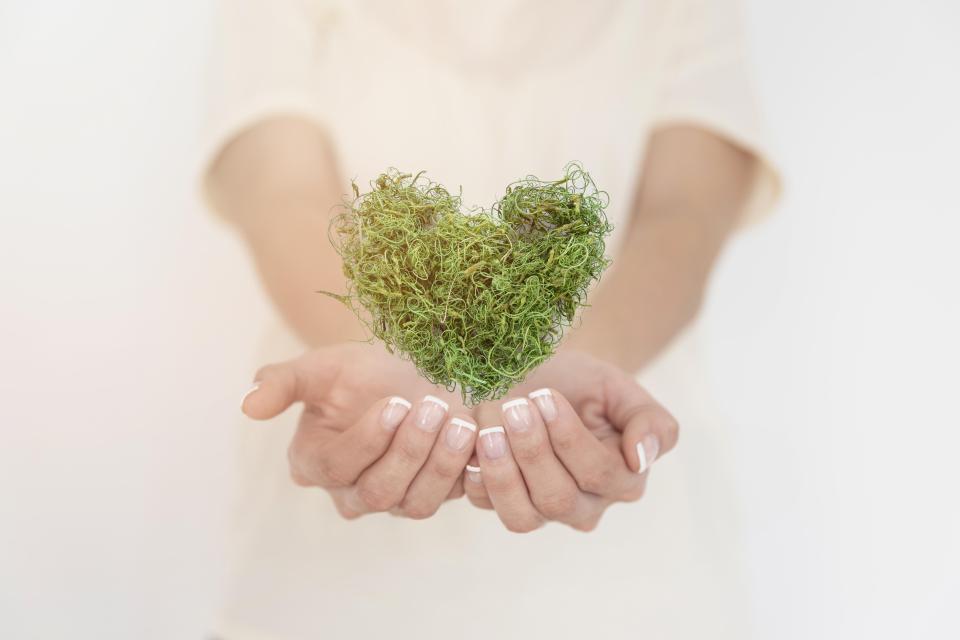 Bild av två händer som håller ett grönt mosshjärta