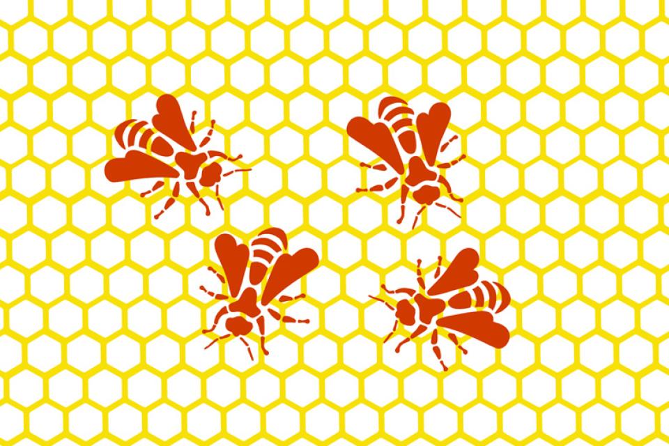 CYCLIC BEEHIVE PROJECT CYCLIC BEEHIVE PROJECT