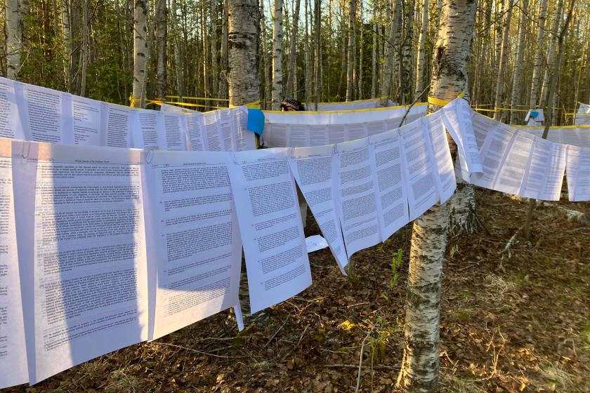 Terms of Service ecosystem policies in the forest