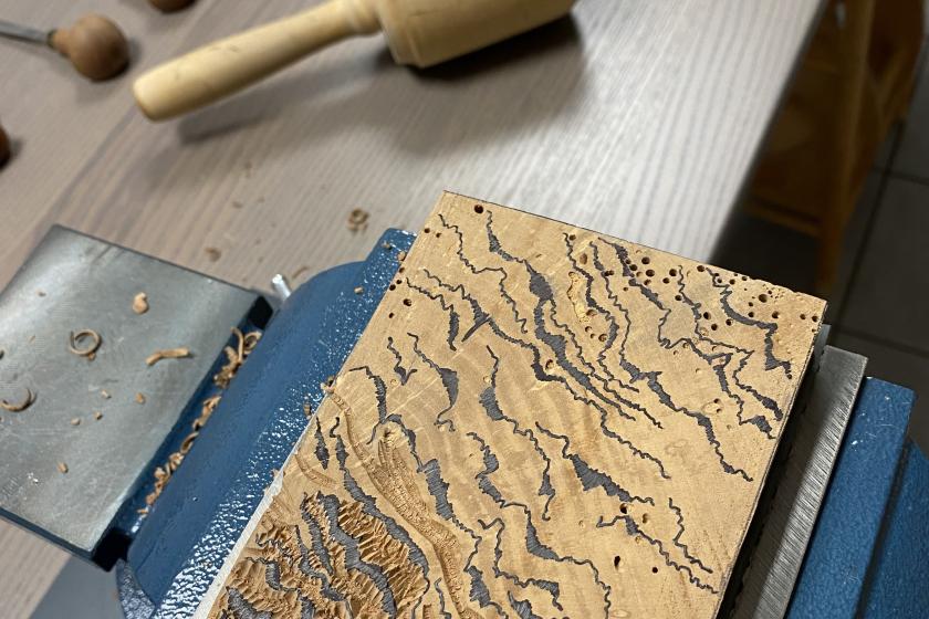 Carving a block